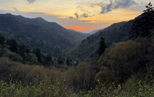 Summer Travel Trends: Saving Money and Shifting Destinations